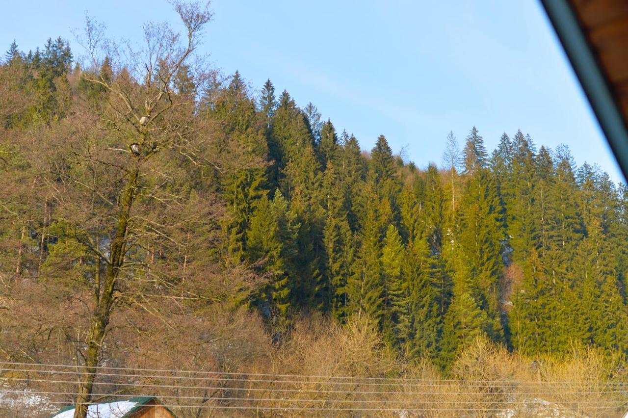Садиба Between Mountains Mizhhirya (Transcarpathia) Exterior foto
