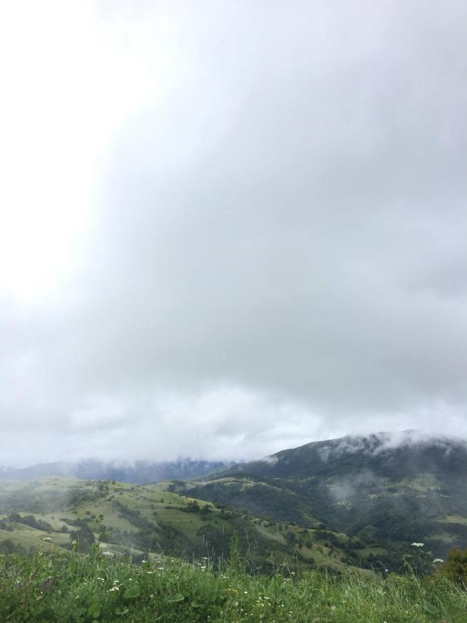 Садиба Between Mountains Mizhhirya (Transcarpathia) Exterior foto