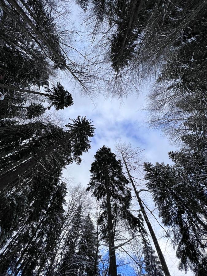 Садиба Between Mountains Mizhhirya (Transcarpathia) Exterior foto