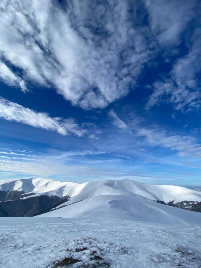Садиба Between Mountains Mizhhirya (Transcarpathia) Exterior foto