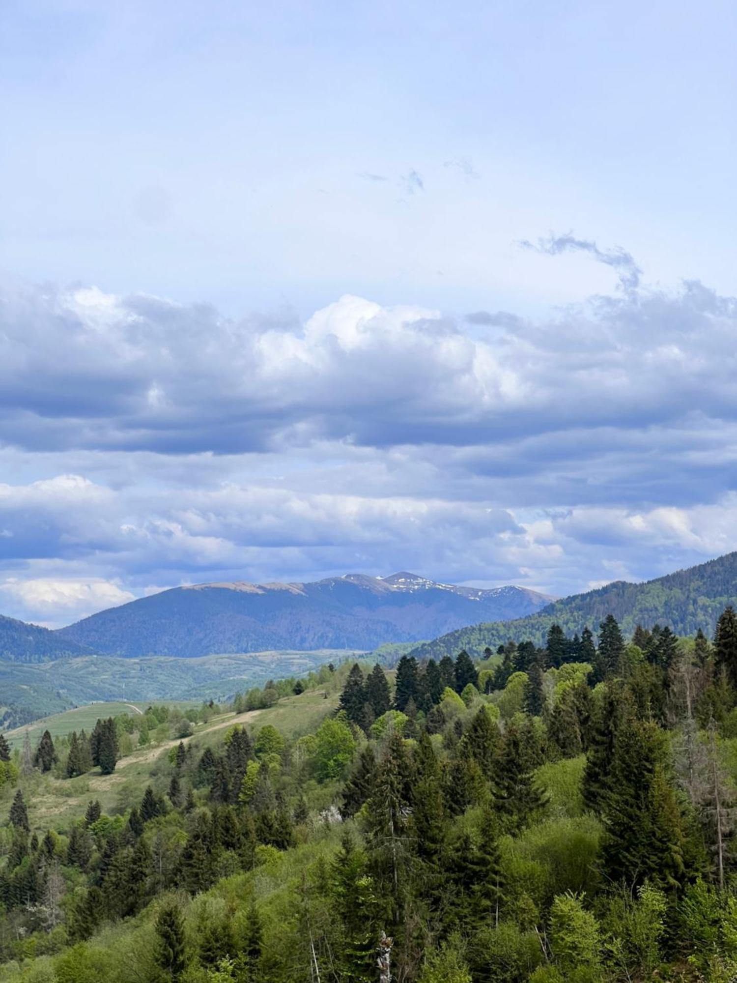 Садиба Between Mountains Mizhhirya (Transcarpathia) Exterior foto